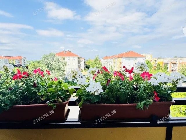 Eladó lakás Kecskemét 73 nm