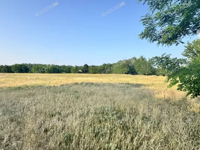 Eladó telek Ballószög 6531 nm