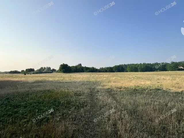 Eladó telek Ballószög 6531 nm