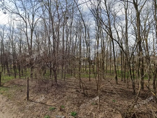 Eladó ház Kecskemét 47 nm