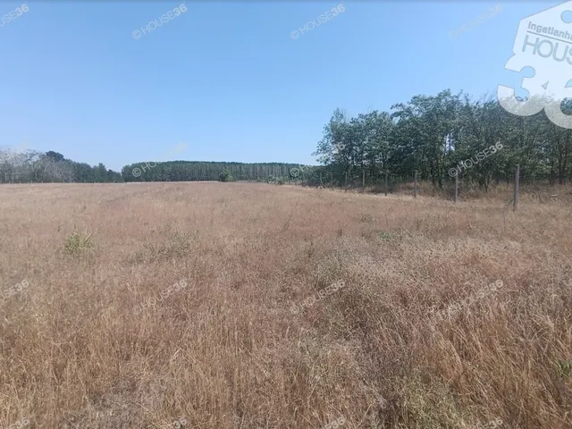Eladó telek Tiszaalpár 9107 nm