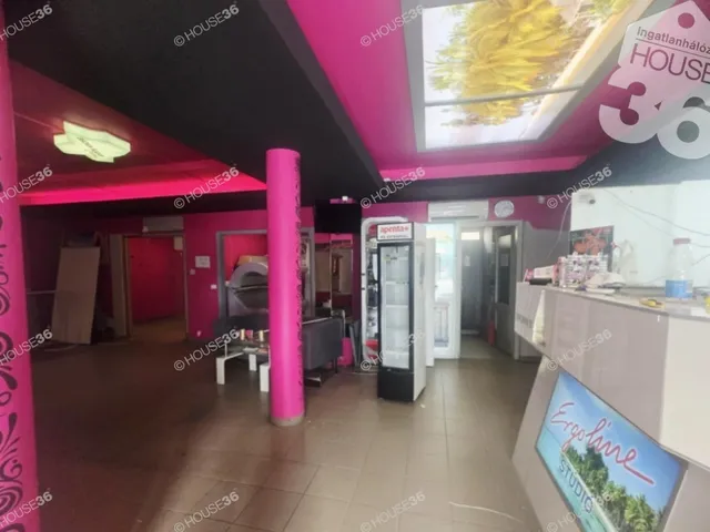 Kiadó kereskedelmi és ipari ingatlan Kecskemét, Belváros 104 nm