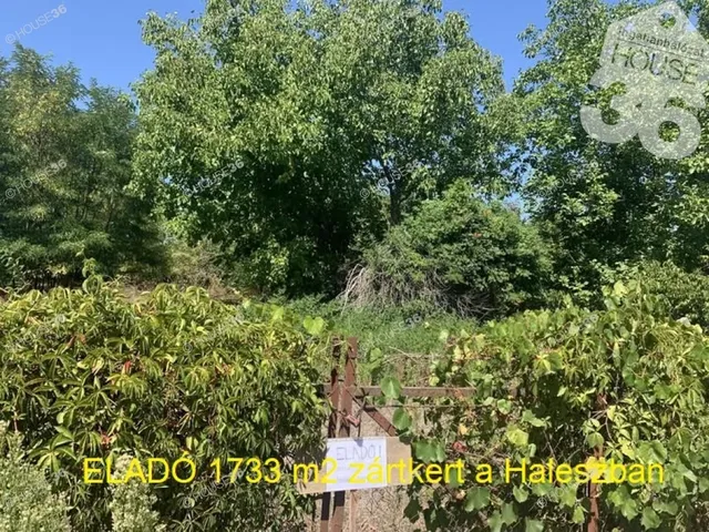 Eladó telek Kiskunfélegyháza 1733 nm