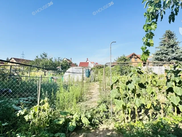 Eladó ház Kecskemét 185 nm