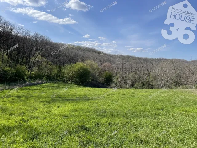 Eladó telek Szekszárd 17131 nm