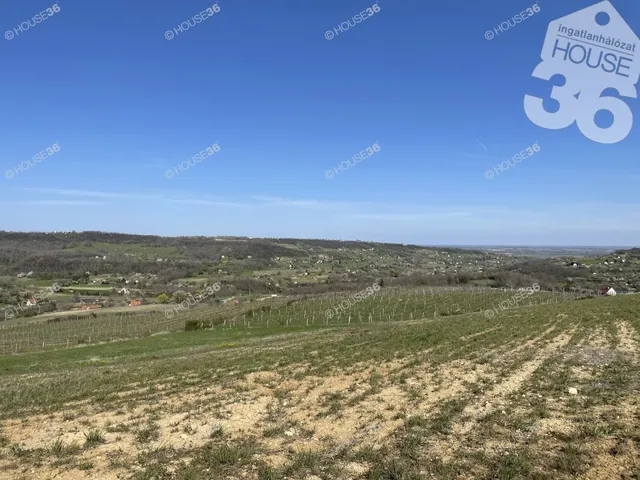 Eladó telek Szekszárd 17131 nm