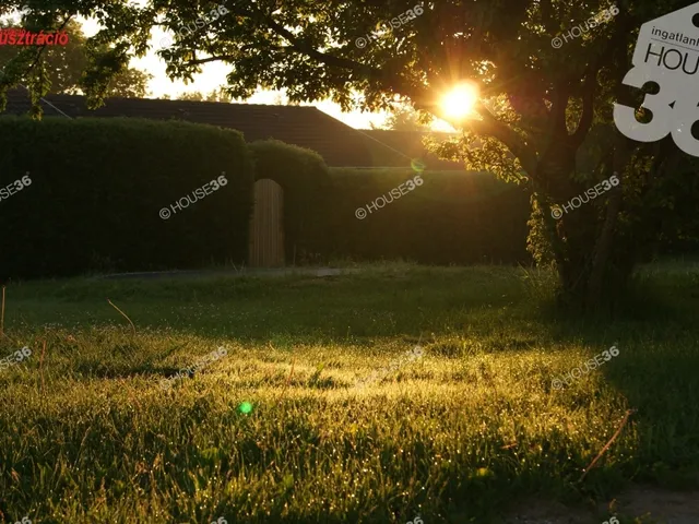 Eladó telek Kiskunfélegyháza 728 nm