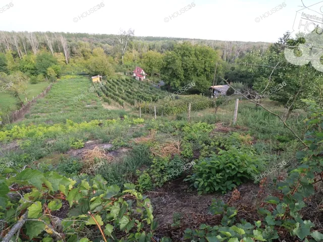 Eladó üdülő és hétvégi ház Bölcske 35 nm