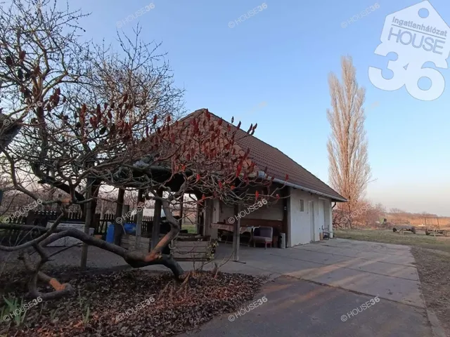 Eladó mezőgazdasági ingatlan Lajosmizse 400 nm