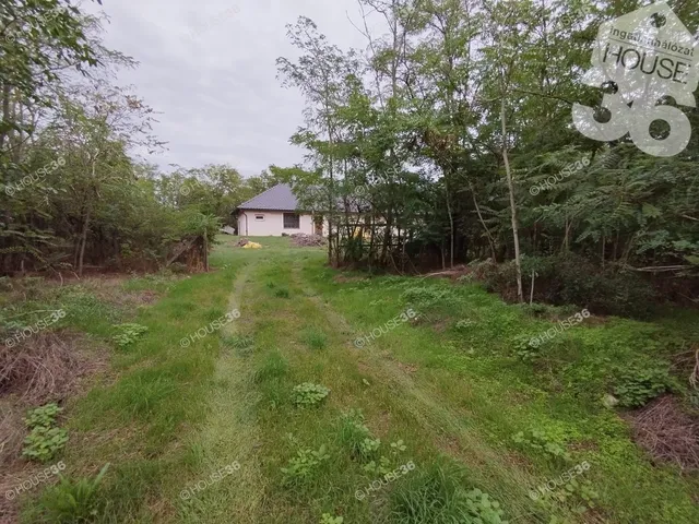 Eladó ház Tiszaalpár 170 nm