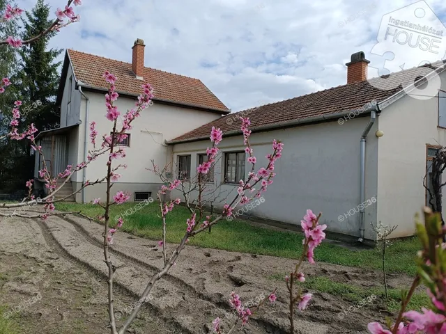 Eladó ház Kiskunfélegyháza 100 nm