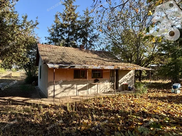 Eladó mezőgazdasági ingatlan Kiskunfélegyháza 32 nm