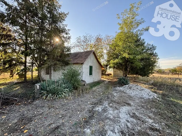 Eladó mezőgazdasági ingatlan Kiskunfélegyháza 32 nm