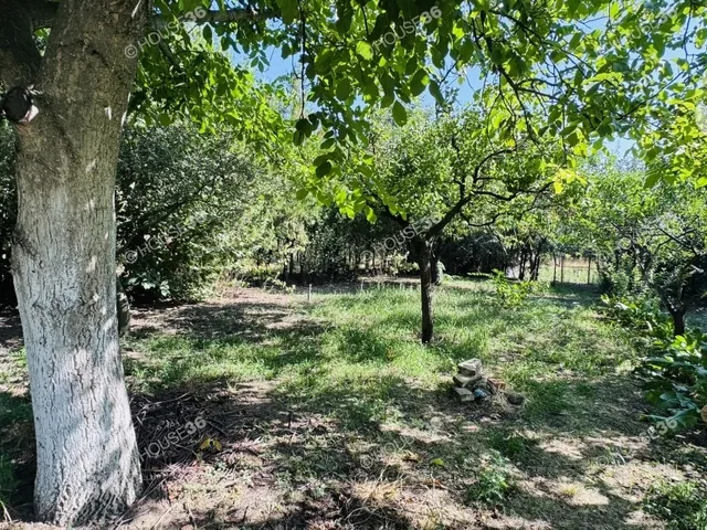 Eladó mezőgazdasági ingatlan Kecskemét 50 nm