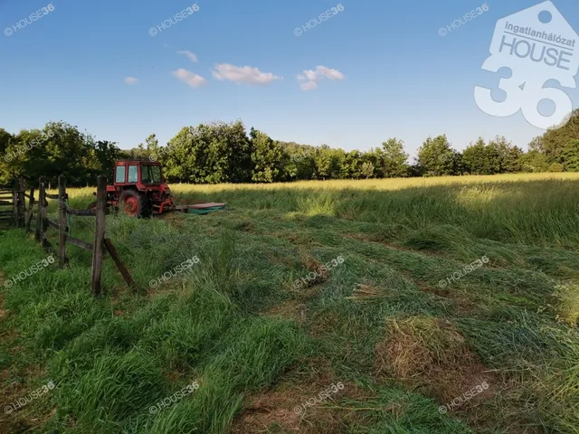 Eladó ház Nagykőrös 170 nm