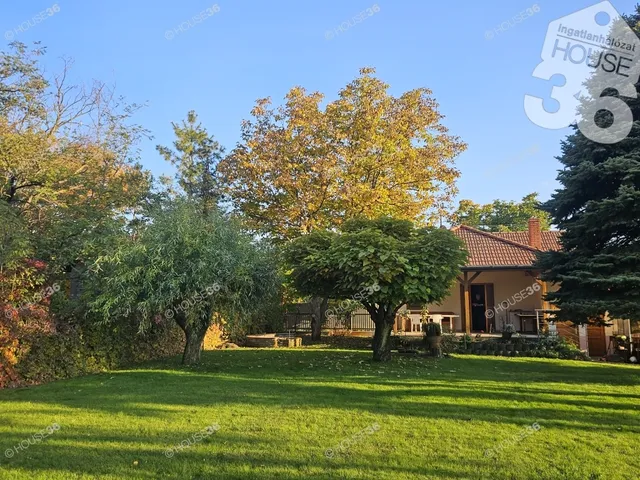 Eladó mezőgazdasági ingatlan Kiskunfélegyháza 43 nm