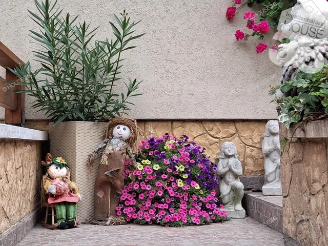 Eladó ház Kecskemét, Hetényegyháza 200 nm