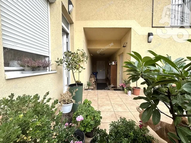 Eladó ház Kecskemét 196 nm