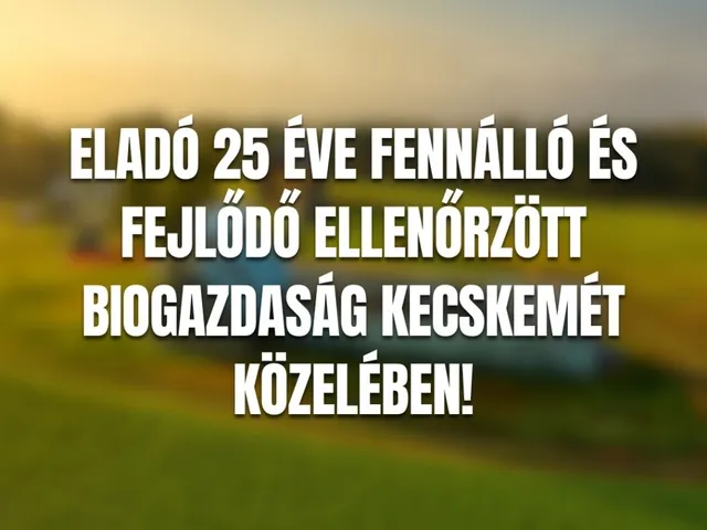 Eladó mezőgazdasági ingatlan Szentkirály 255 nm