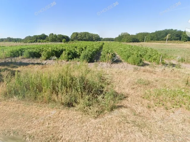 Eladó telek Kecskemét 3758 nm