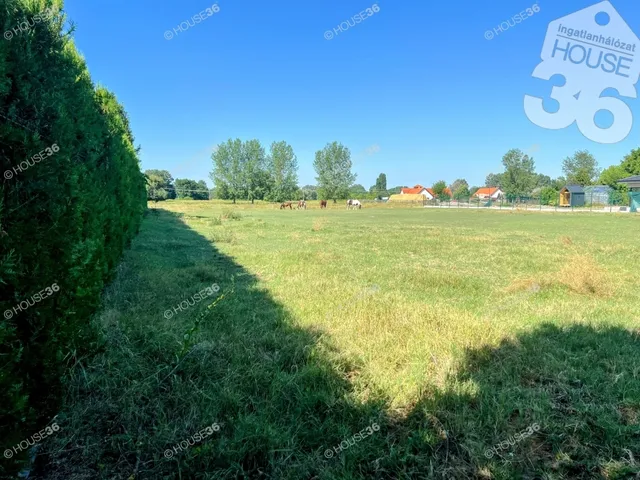 Eladó telek Kiskőrös 1884 nm