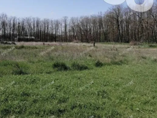 Eladó telek Kecskemét 8030 nm