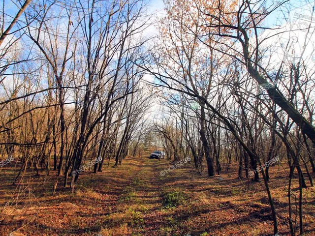 Eladó telek Kiskunmajsa 17892 nm