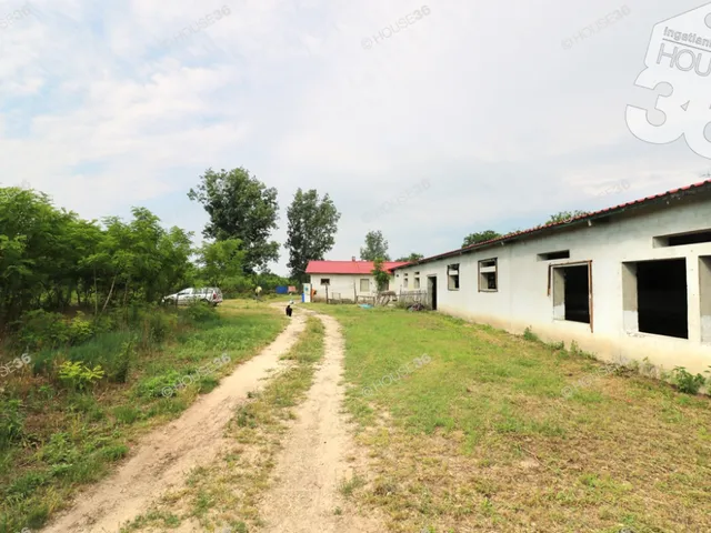 Eladó mezőgazdasági ingatlan Lajosmizse 560 nm