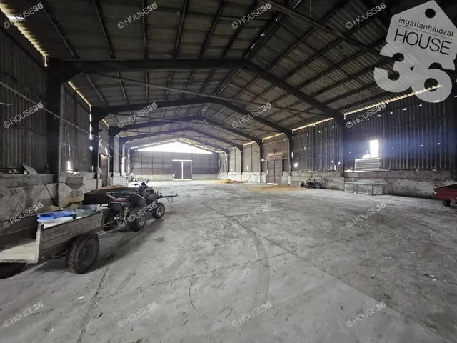 Eladó mezőgazdasági ingatlan Szentkirály 1080 nm