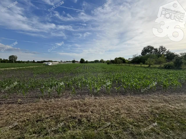 Eladó telek Kecskemét, Bethlenváros 21826 nm