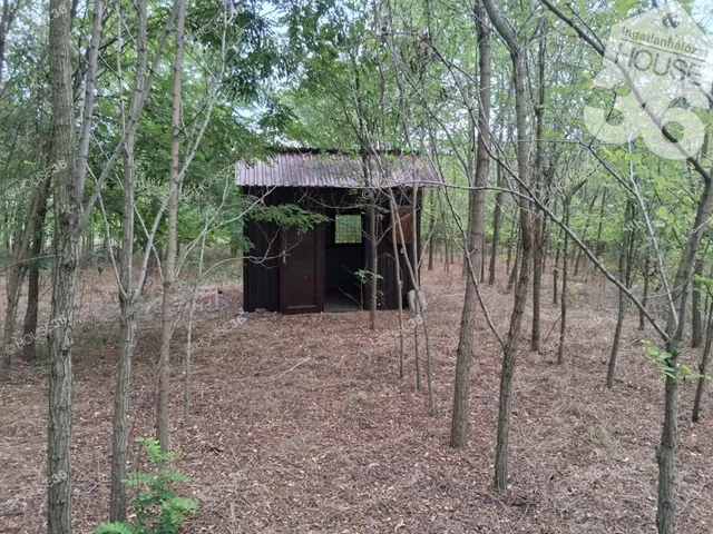 Eladó ház Kecskemét 200 nm