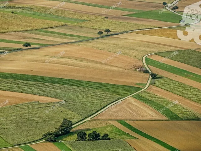 Eladó mezőgazdasági ingatlan Csemő 1 nm