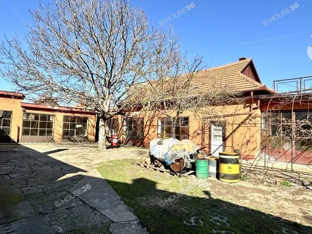 Eladó ház Kiskunfélegyháza 100 nm