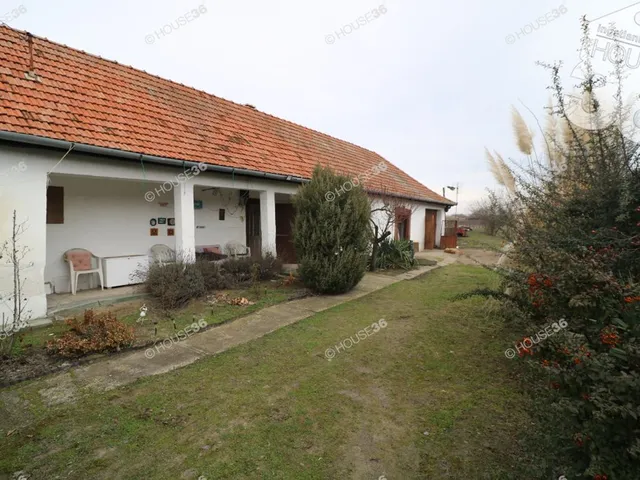 Eladó mezőgazdasági ingatlan Kiskőrös 50 nm