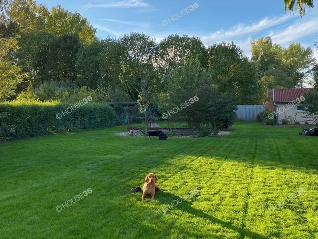 Eladó ház Kecskemét 110 nm