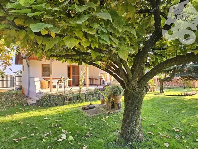 Eladó mezőgazdasági ingatlan Kiskunfélegyháza 43 nm