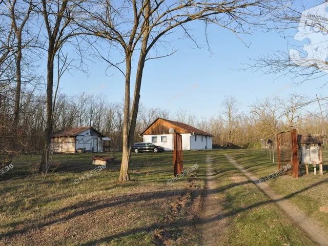 Eladó mezőgazdasági ingatlan Nyárlőrinc 78 nm