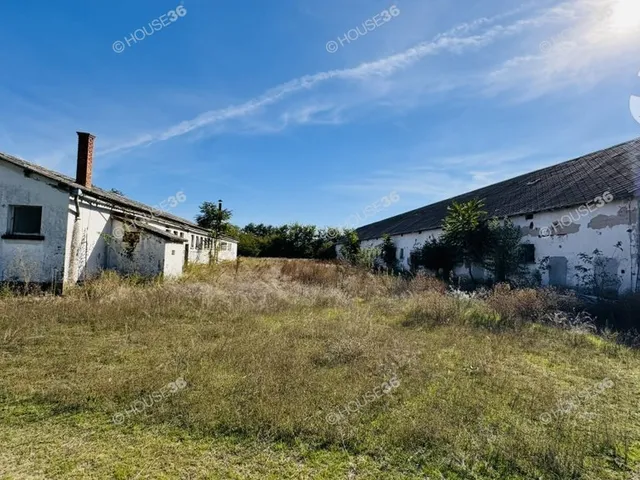 Eladó kereskedelmi és ipari ingatlan Szabadszállás 3000 nm