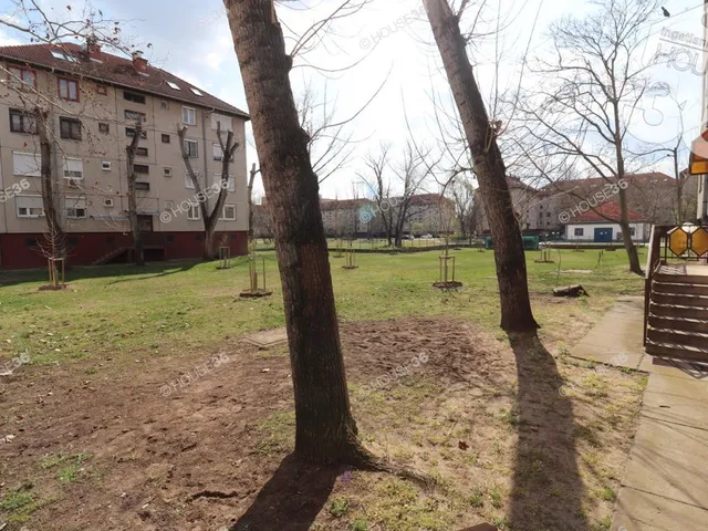 Eladó lakás Kecskemét 78 nm