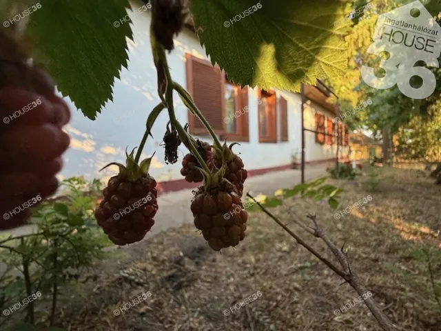 Eladó mezőgazdasági ingatlan Kecskemét, Méntelek 132 nm