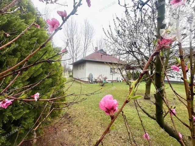 Eladó ház Cserkeszőlő 50 nm