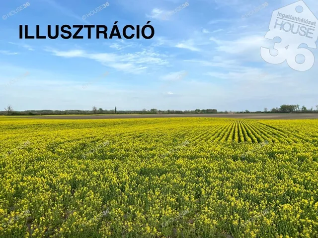 Eladó telek Kéty 17485 nm
