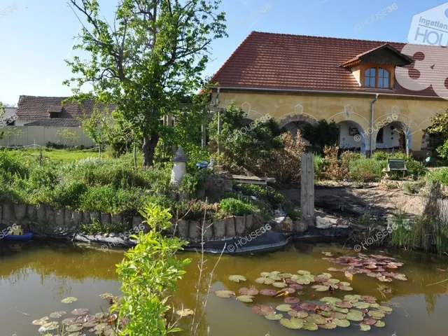 Eladó ház Tiszaalpár 250 nm