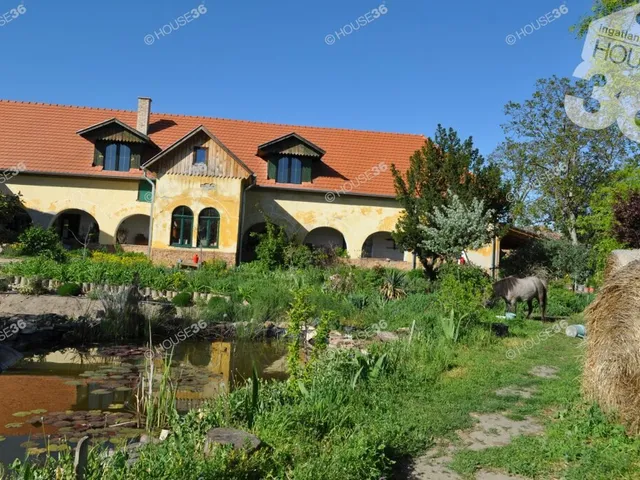 Eladó ház Tiszaalpár 250 nm