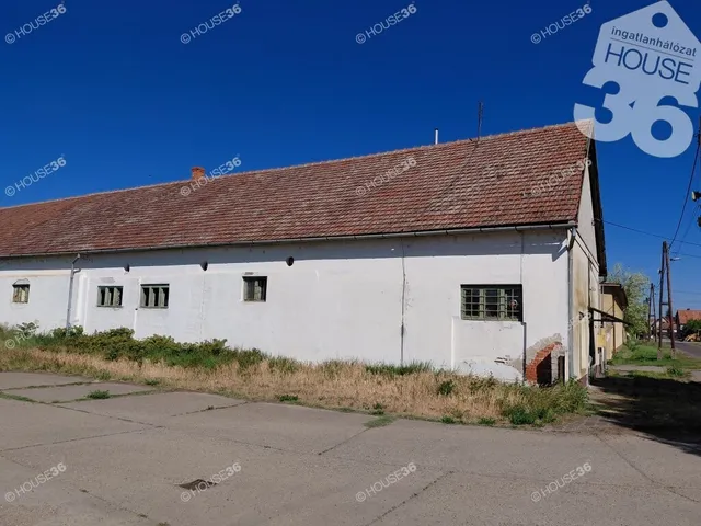 Eladó kereskedelmi és ipari ingatlan Jánoshalma 19153 nm