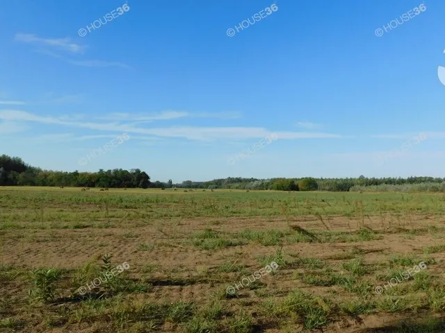 Eladó telek Pálmonostora 50379 nm