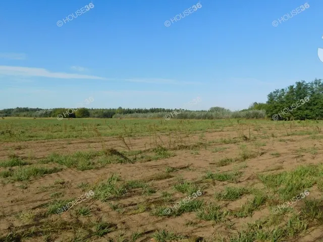 Eladó telek Pálmonostora 50379 nm