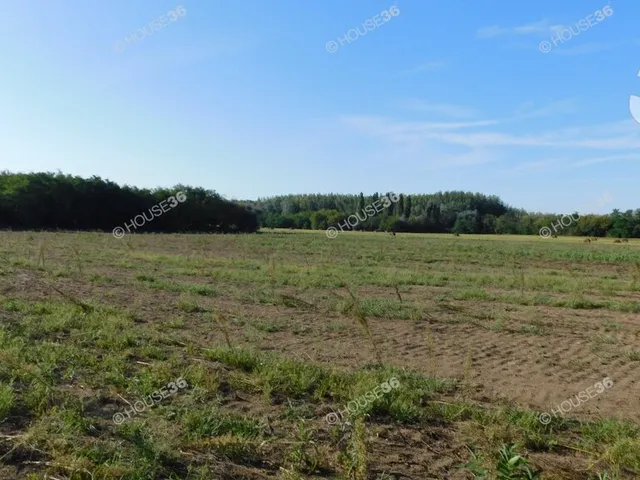 Eladó telek Pálmonostora 50379 nm