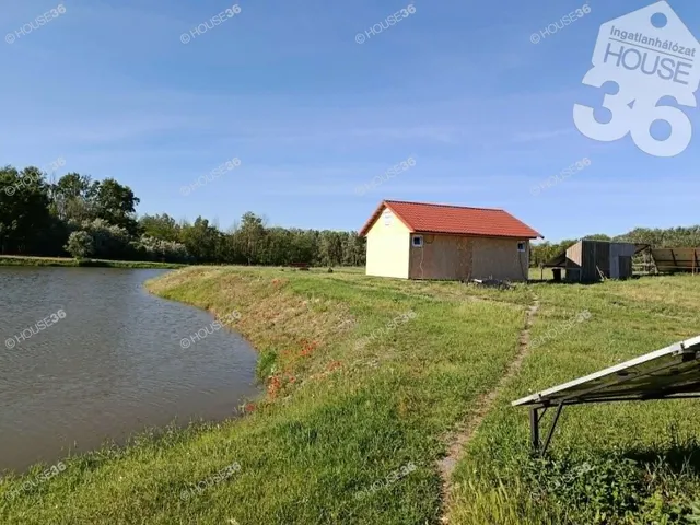 Eladó mezőgazdasági ingatlan Kiskunfélegyháza 36 nm