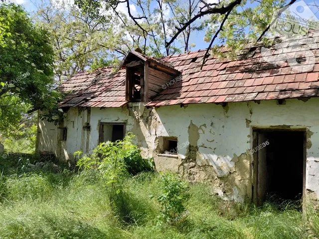 Eladó mezőgazdasági ingatlan Kecskemét, Borbás 60 nm
